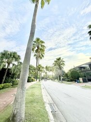 Ocean Drive (D4), Detached #495795261